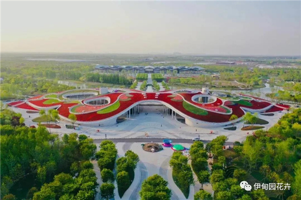 上海|親自體驗中國花卉界的“奧林匹克”盛宴!