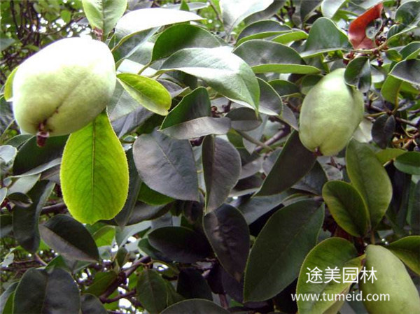 http://www.wjetqwm.cn/ch/30.html