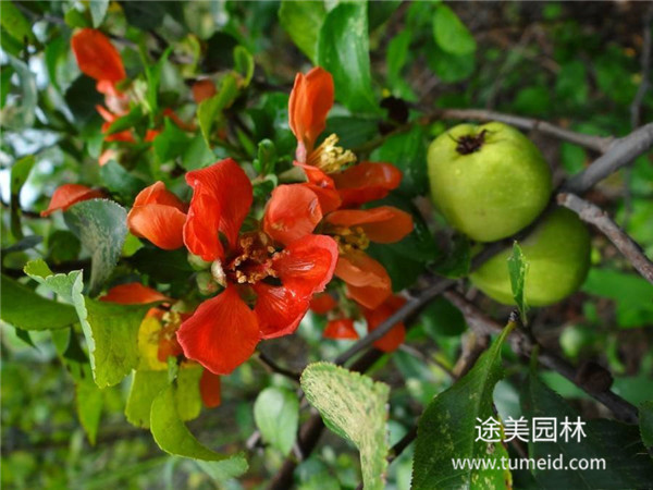 http://www.wjetqwm.cn/ch/30.html