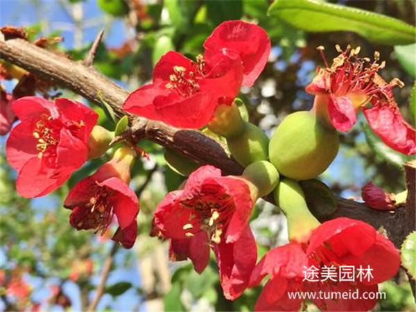 http://www.wjetqwm.cn/ch/30.html
