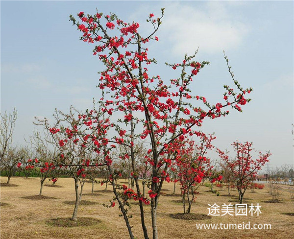 http://www.wjetqwm.cn/ch/30.html
